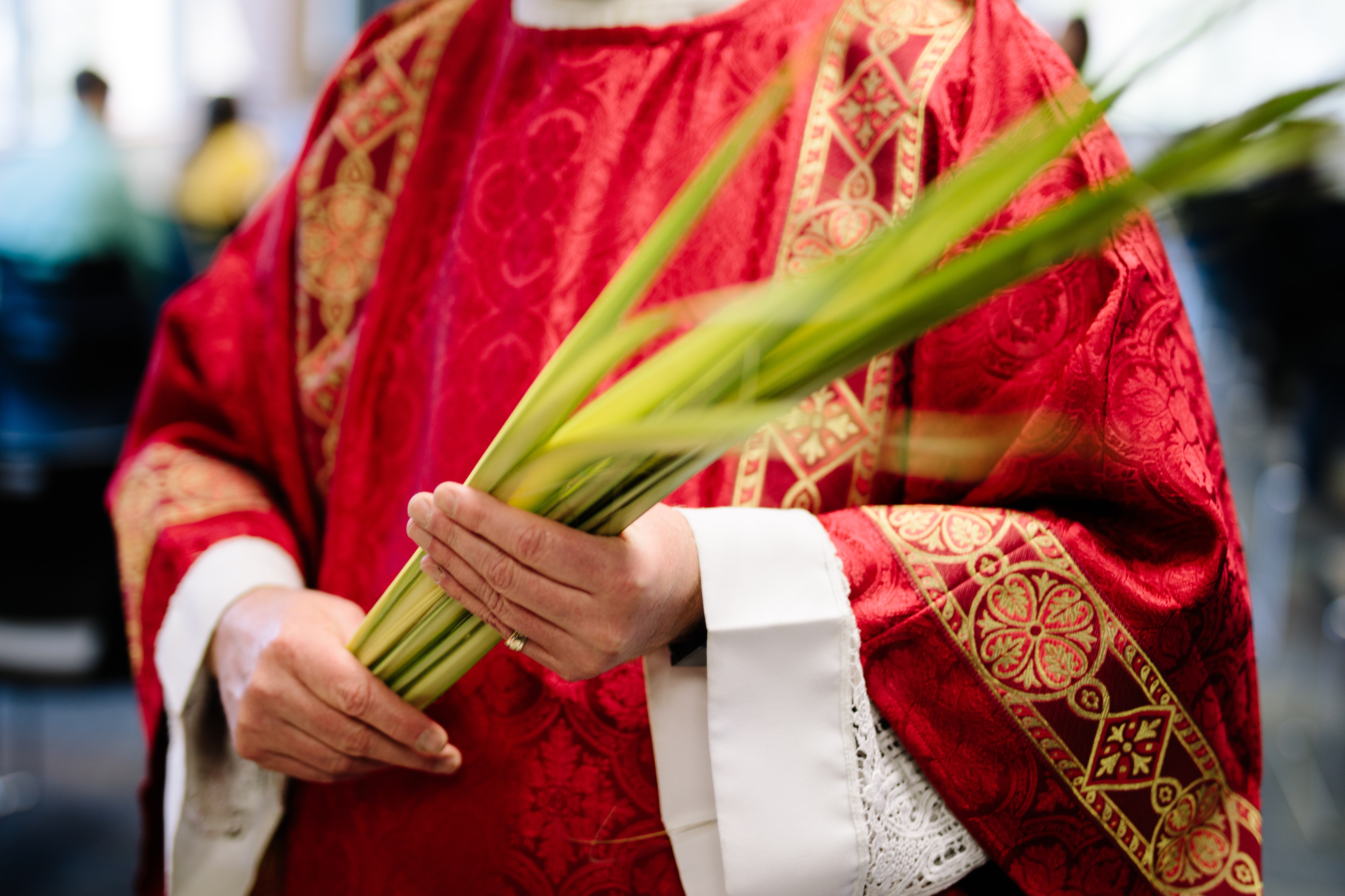 domingo de ramos