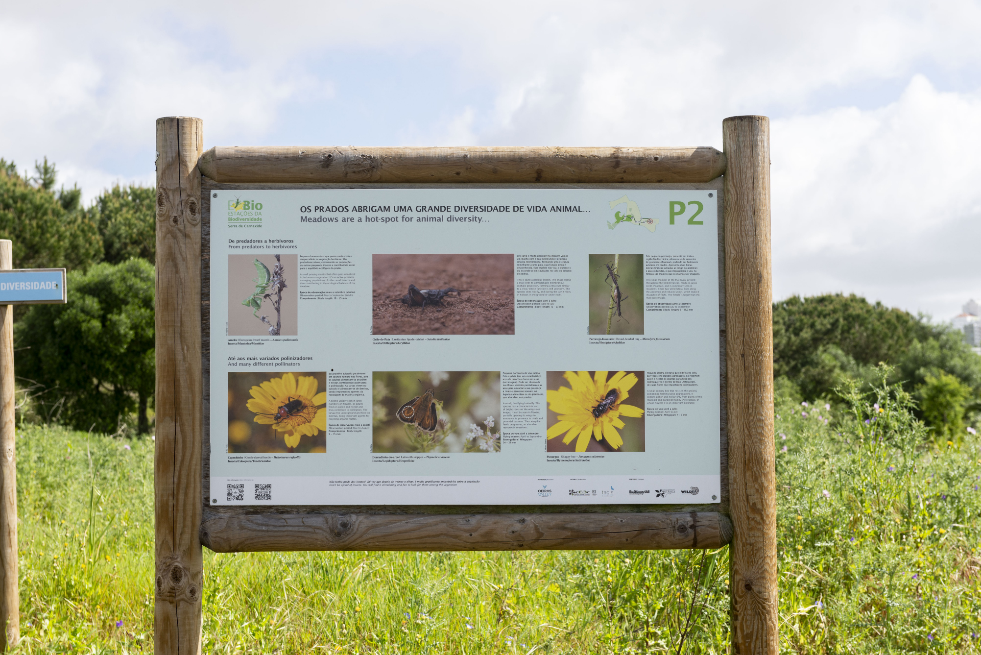 Estação da Biodiversidade da Serra de Carnaxide